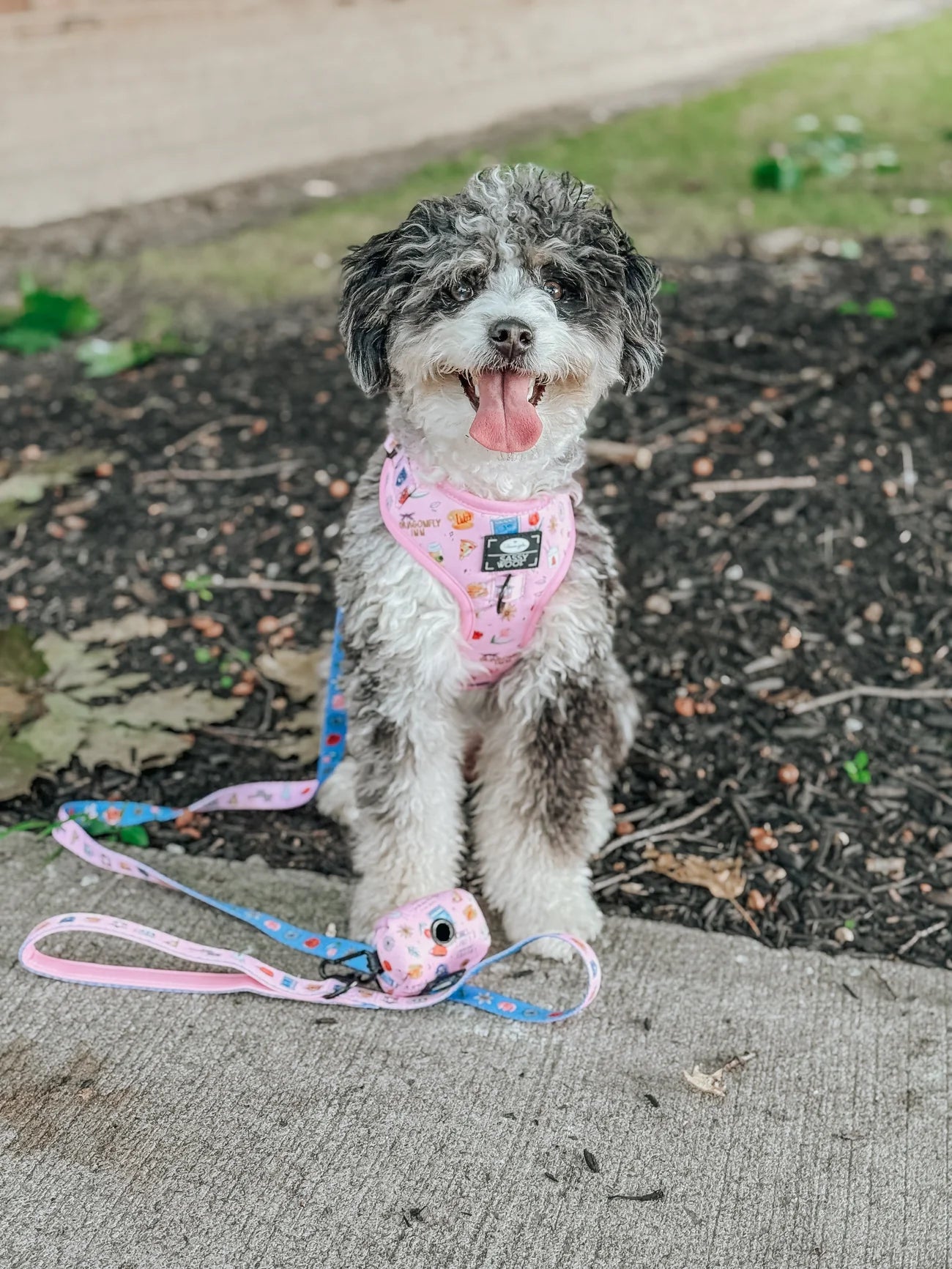 Dog Two Piece Bundle - Gilmore Girls