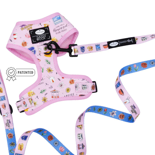 Dog Two Piece Bundle - Gilmore Girls